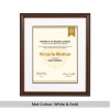 Two-Tone Light Walnut & Gold Degree & Diploma Frame